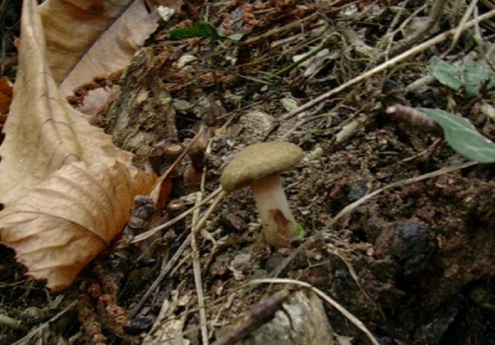 816 Ottobre vecchio ritrovamento